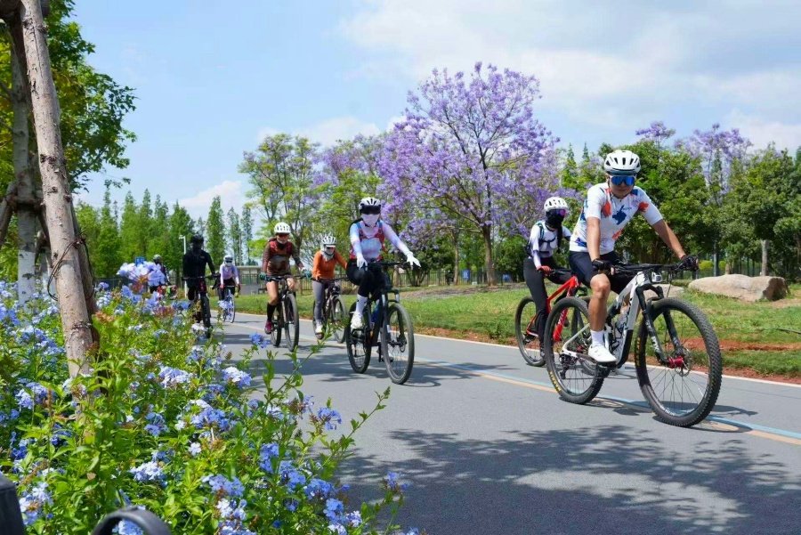 1772337912_Mekong Delta to Halong Bay e-bike tour.jpg